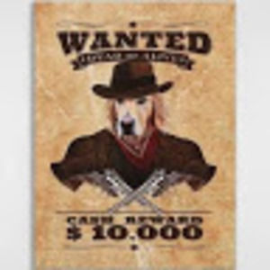 Meet your Posher, Underdøg